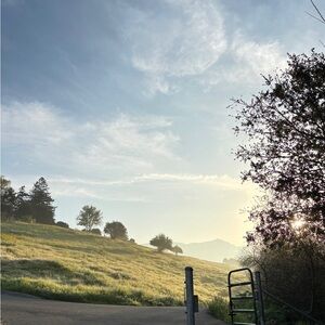 Meet your Posher, Liska